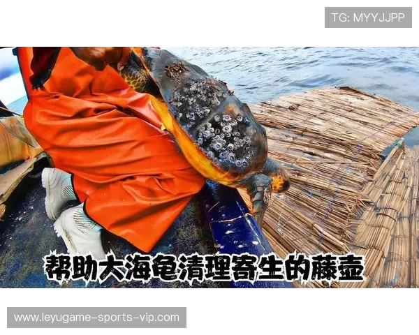 深海作业直击！第一视角体验船舶藤壶清理的硬核挑战